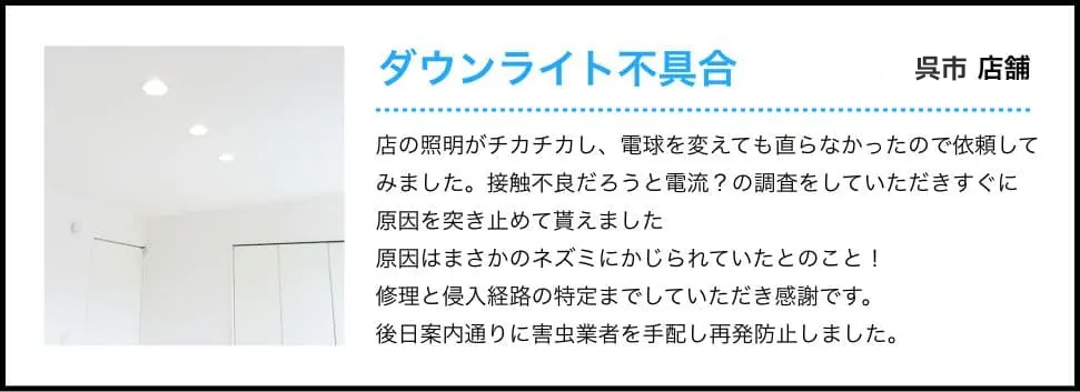 ダウンライト不具合-和泉市 店舗